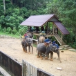 treking na slonech v Kaon lag